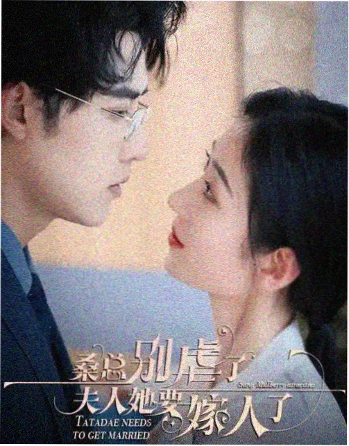 深蓝档案封面